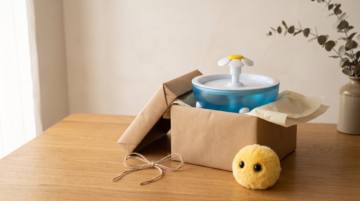 Offrir à un propriétaire de chat : idées cadeaux par budget