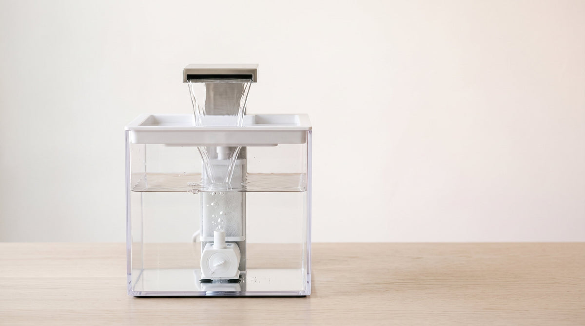 Fontaine à eau transparente : ce que change un réservoir visible