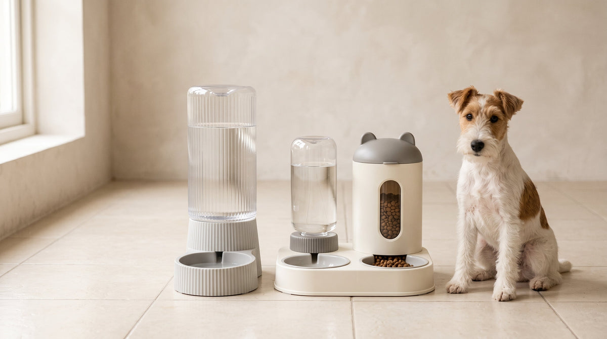Distributeur d’eau pour chien : lequel choisir