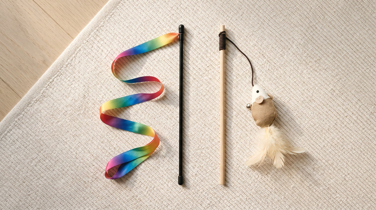 Ruban ou plumes : quel jouet pour quel chat ?