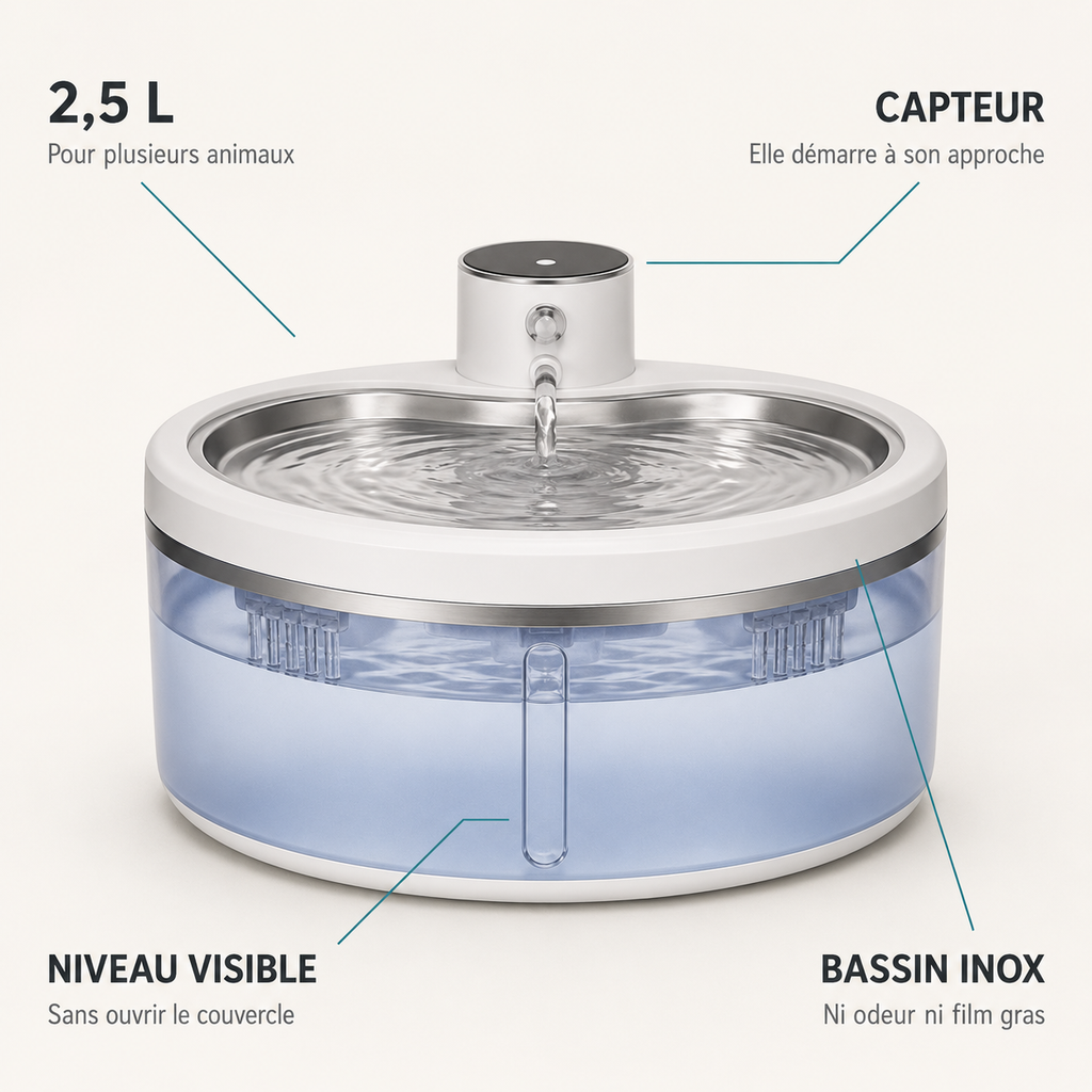 Caractéristiques de la fontaine cristal : 2,5 L, capteur de mouvement, niveau visible, bassin inox